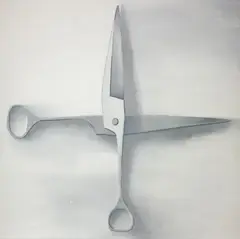 Xuhui Mao, White Western Scissors in Cross Shape, 2005, Oil on canvas