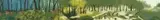Akane Terashima, Forest (a set of 5), 2007, Acrylic on canvas