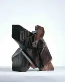 Ju Ming, Taichi Series – Single Whip