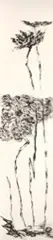 Hsu Yu-jen, The Birth of Latus, 2007, Ink on paper