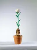 Ai Haibara, Mandragora