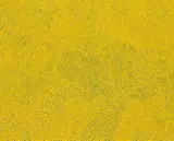 Yayoi Kusama, Infinity - Nets  [ PERR ], 2013, Acrylic on canvas