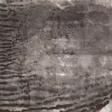 T'ang Haywen, Untitled