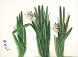 Narcissus by Shiy De-jinn, 1980, Watercolor on paper, sold Jun 2013