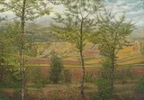 Huang Ming-chang, Golden Fields, 1995, Oil on canvas