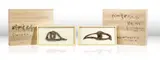 Cai Guo-Qiang, Man, Eagle, and Eye in the Sky, (Siwa, Egypt) No. 16 & No. 18