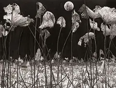 Chen Chien Fa, Quiet Night, 2012, Ink on paper