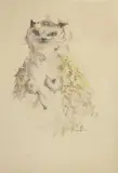 Léonor Fini, Lady Cat