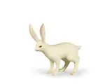 Yoshimasa Tsuchiya, Rabbit