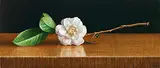 Yeh Tzu Chi, The Camellia of Lantern Festival