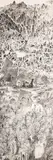 Yu Peng, Flourishing, 2008, Ink on paper