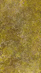Emily Kam Kngwarreye, A Desert Life Cycle III (1991), 1991, synthetic polymer paint on canvas