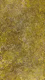 Emily Kam Kngwarreye, A Desert Life Cycle III (1991), 1991, synthetic polymer paint on canvas