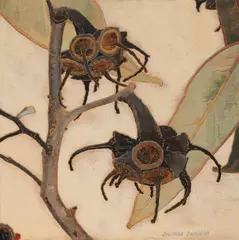 Cressida Campbell, Gumnuts 2008, 2008, watercolour on incised woodblock