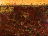 John Olsen, Wet Lands 2005, 2005, oil on canvas