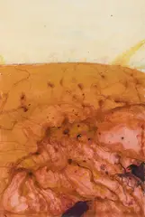 John Olsen, The Arrival of the Crows (2006), 2006, mixed media on paper