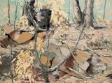 Clifton Pugh, After the Wind 1959