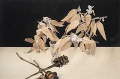 Cressida Campbell, Gum Leaves and Banksia (2007), 2007, hand painted unique woodblock print on paper