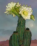 Criss Canning, Cactus, ‘Queen of the Night’ (1995), 1995, oil on canvas