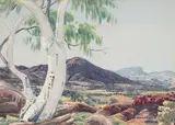 Albert Namatjira, Ghost Gum, MacDonnell Ranges (1952)