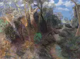 William Robinson, Goomoolahra Creek 2000