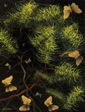 Lin Onus, Butterflies and Flowers (1993)