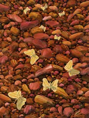 Lin Onus, Butterflies and Rocks (1993), 1993, synthetic polymer paint on board