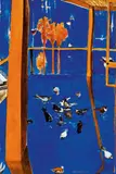 Brett Whiteley, Doves on the Balcony, Lavender Bay 1979, 1979, oil on canvas