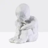 David Larwill, Contemplation 2011