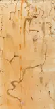 John Olsen, Owls at Cooper Creek 1980