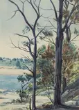 Albert Namatjira, Blackwood Trees at Rapid Creek, Darwin (1950)