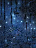 Lin Onus, Evening Reflections