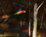 Albert Tucker, Parrot Flying 1965, 1965, synthetic polymer paint on composition board