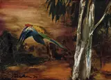 Albert Tucker, Parrot Flying 1970