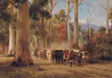 Jan Hendrik Scheltema, Bullock Team in the Forest of Canungra, Queensland