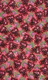 Howard Arkley, Ornamentik (1981)