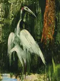 Albert Tucker, Brolga 1964