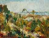 Grace Cossington Smith, Scrub Country along the Coast 1949, 1949, oil on pulpboard