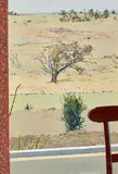 Cressida Campbell, View Through a Window 1982