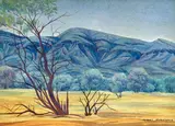 Albert Namatjira, Mulga Trees, MacDonnell Ranges, watercolour on paper