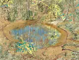 Clifton Pugh, Spring Wattle, Reflections 1981