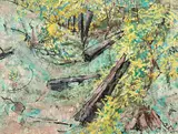 Clifton Pugh, Spring Wattle, Old Bush Fence 1981
