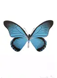 Turquoise/Burgundy/Silver Gloss 2010 The Souls IV by Damien Hirst, 3 colour foil block print on paper, sold Oct 2019