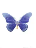 Westminster Blue/Cornflower Blue/African Gold 2010 The Souls IV by Damien Hirst, 3 colour foil block print on paper, sold Oct 2019