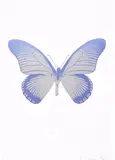 Silver Gloss/Cornflower Blue 2010 The Souls IV by Damien Hirst, 2 colour foil block print on paper, sold Oct 2019