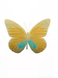 Paradise Copper/Topaz/Cool Gold 2010 The Souls 1 by Damien Hirst, 3 colour foil block print on paper, sold Oct 2019