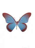 Frost Blue/Burgundy/Silver Gloss 2010 The Souls IV by Damien Hirst, 3 colour foil block print on paper, sold Oct 2019