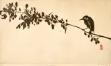 Brett Whiteley, Bird on a Branch (1977), 1977, sugarlift aquatint on paper