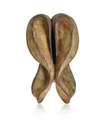 Marion Borgelt, Of Flesh and Bone No. 7 1998, 1998, mixed media