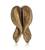 Marion Borgelt, Of Flesh and Bone No. 7 1998, 1998, mixed media